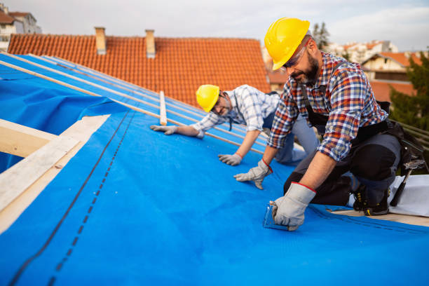 Best Roof Maintenance Services  in Marion, KY